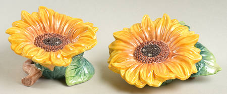FIT244 Salt & Pepper Set