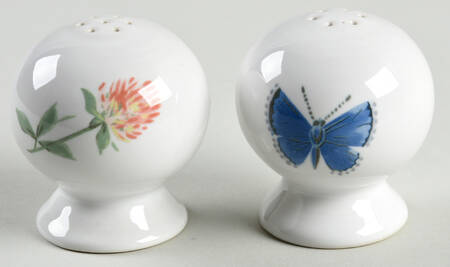Fiesta Breezy Floral Salt & Pepper Set