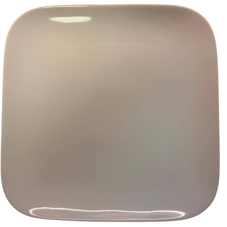 FUK95 Dinner Plate