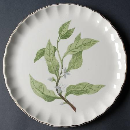 B8760 Luncheon Plate
