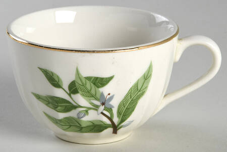 B8760 Flat Cup