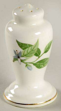B8760 Salt Shaker