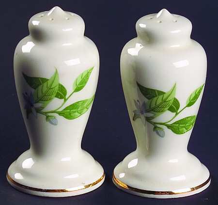 B8760 Salt & Pepper Set