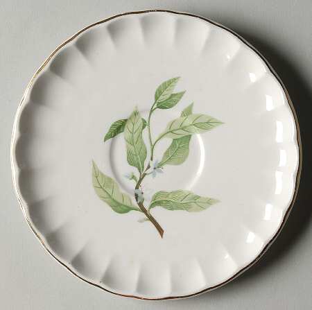 B8760 Saucer