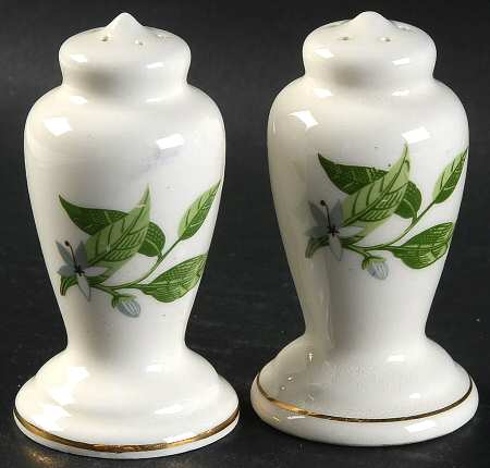 B8760 Salt & Pepper Set