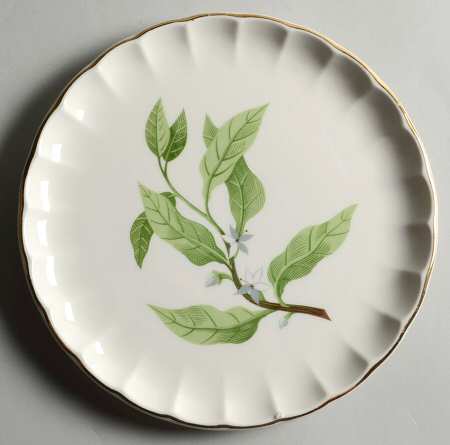 B8760 Salad Plate