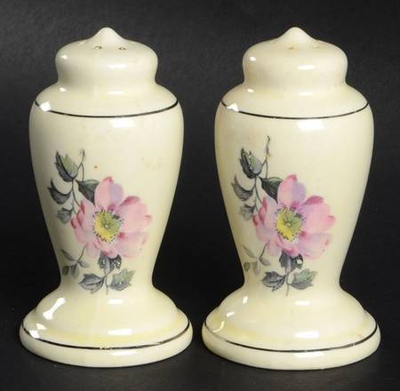 Blossoms Salt & Pepper Set by WS George