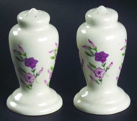 Fiesta Salt & Pepper Set