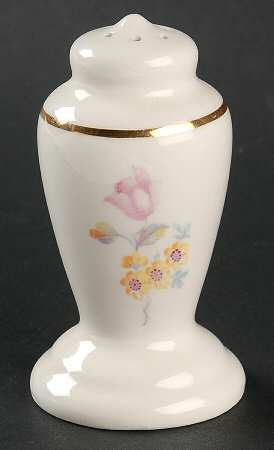 GEO102 Salt Shaker