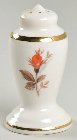 GEO5 Salt Shaker