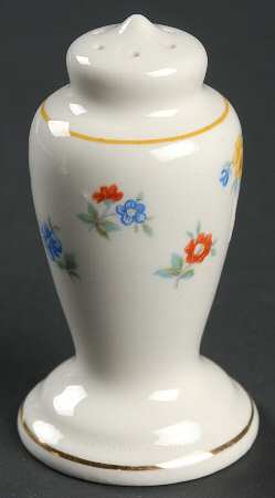 GEO61 Salt Shaker
