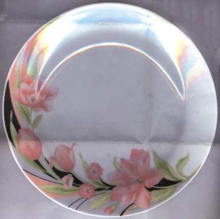 Sundance Salad Plate
