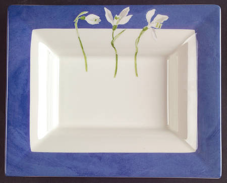 Alice 6" Rectangular Tray