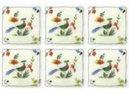 Oiseaux de Paradis Acrylic Coaster