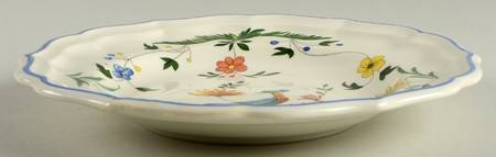 Oiseaux de Paradis Large Rim Soup Bowl