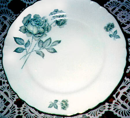 GIN29 Dinner Plate