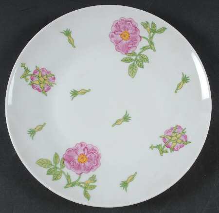 GIN4 Coupe Dinner Plate