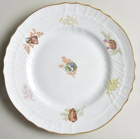 Shells Luncheon Plate