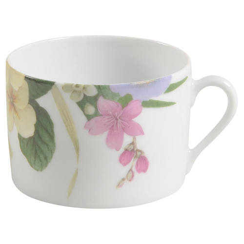 Narcissus Flat Cup