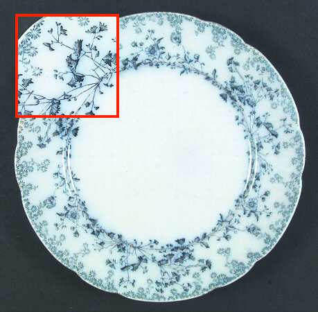 Fern Blue