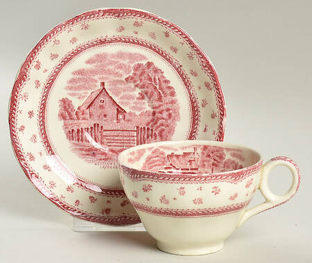 English Lanscapes Pink Flat Cup & Saucer Set