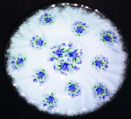 Forget-Me-Not by Gladstone
