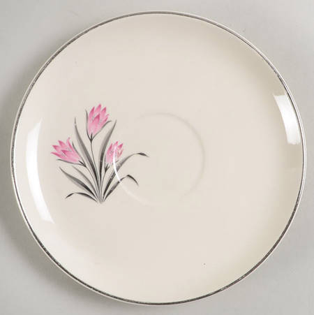 GEO205 Saucer