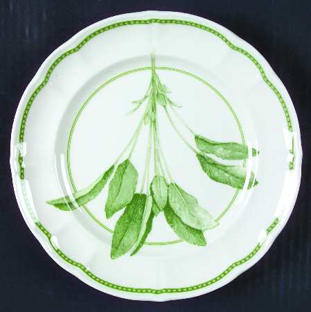 Fresh Herbs Salad Plate
