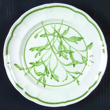 Fresh Herbs Salad Plate