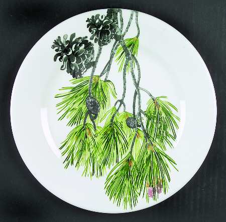 Garrigue Salad Plate