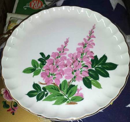 GEO289 Dinner Plate