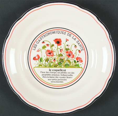 Les Gastronomiques Jardin Enchant Salad Plate
