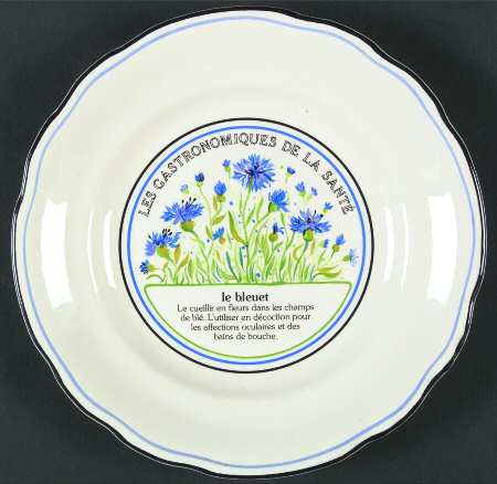 Les Gastronomiques Jardin Enchant Salad Plate
