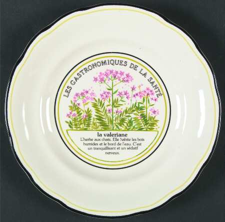 Les Gastronomiques Jardin Enchant Salad Plate
