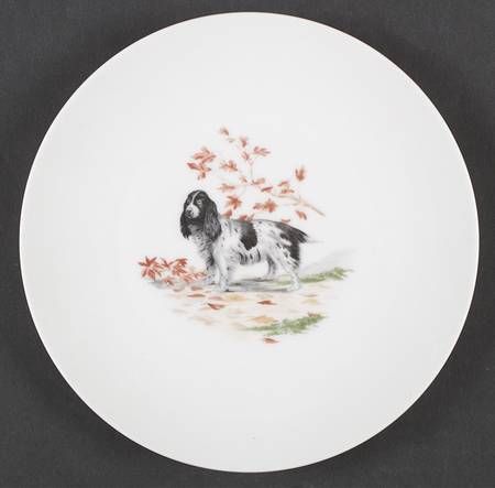 GDA212 Salad Plate