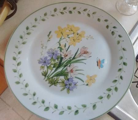 Butterfly Bloom by Gibson Designs