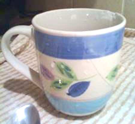 Water Leaves Mug