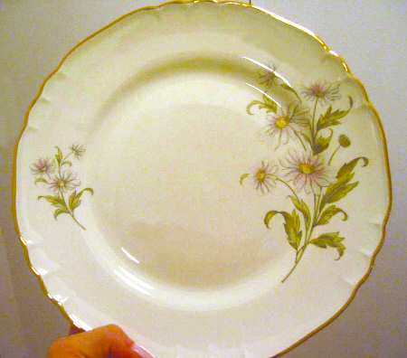 GIN163 Dinner Plate