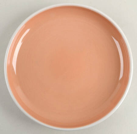 Color Oasis Orange Salad Plate
