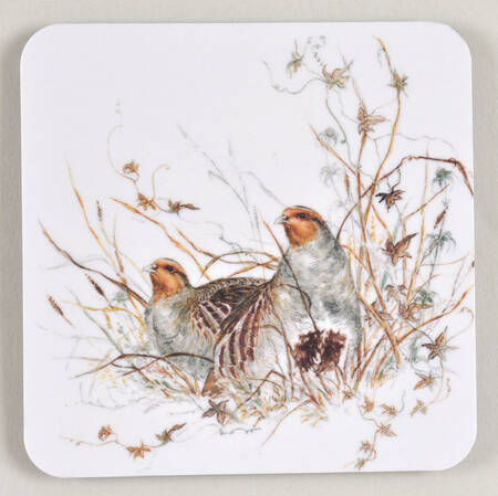 Sologne Square Acrylic Coaster
