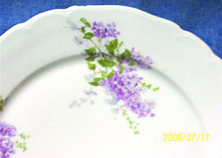GUE529 Dinner Plate