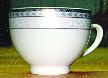 GNA4 Flat Cup