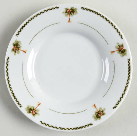 Palm Bay Saucer