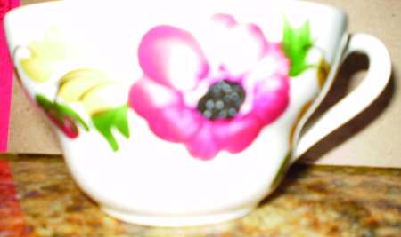 GIN216 Flat Cup