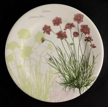Lherbier du Roy Salad/Dessert Plate