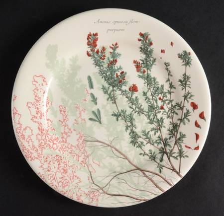 Lherbier du Roy Salad/Dessert Plate