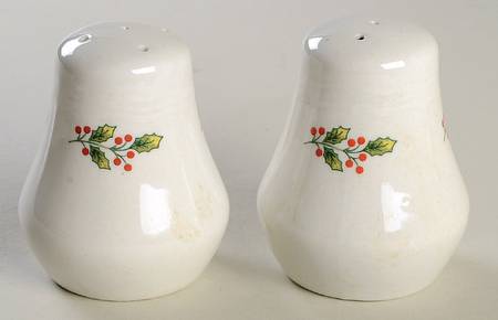 Winter Birds Salt & Pepper Set
