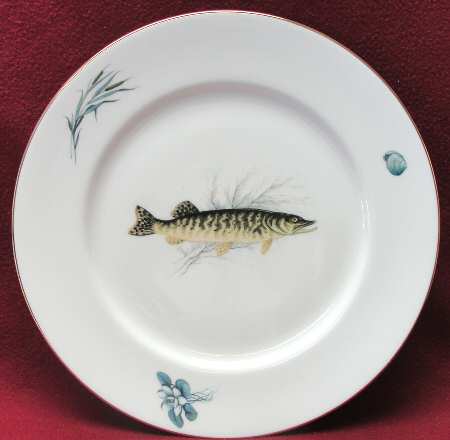 GIN253 Dinner Plate