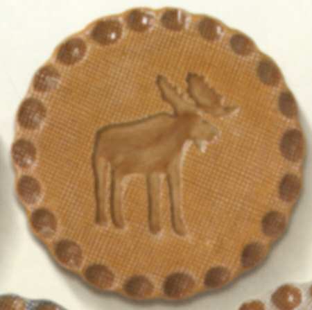 Cabin Fever Coaster