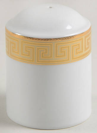 GNA7 Salt Shaker